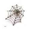 Patche Queen Of Darkness Gothique Spidernet With A Spider As Brooch