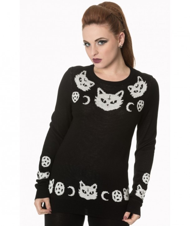 Pull Banned Clothing Cat Knit