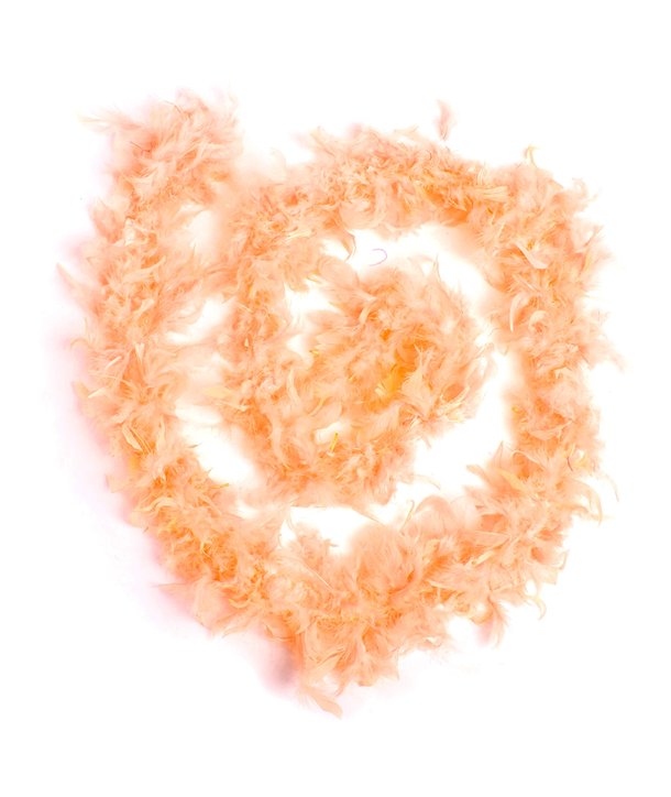 Boa en plumes FEATHER BOA Orange