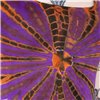 Tops Femme CLEMINTINE Violet