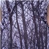 Vestes Femme GREY FOREST Gris